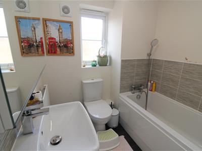Picture 15